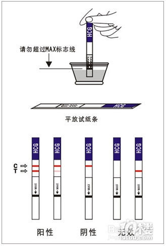 怀孕多久能测出来 怎样测出怀孕