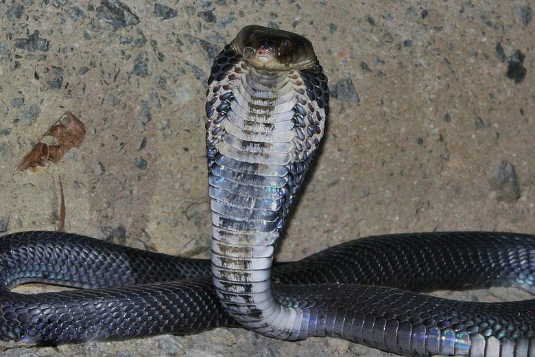 南山摩崖石刻-人文片-19摄区-杭州19楼