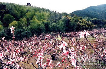 馬岙旅游區(qū)旅游攻略 人間樂園,海上文物之鄉(xiāng)
