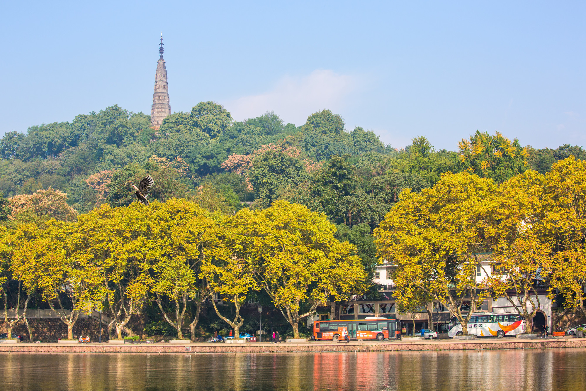 北山街着了"秋装"