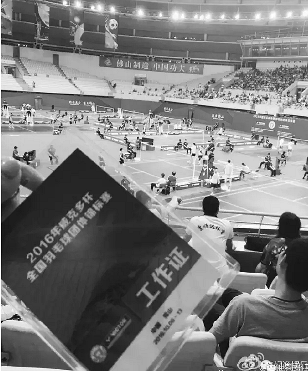 赵雅淇公开道歉大曝出轨内幕