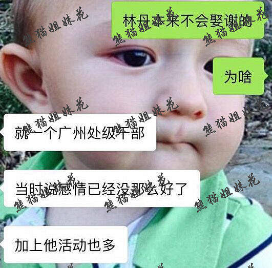赵雅淇公开道歉大曝出轨内幕