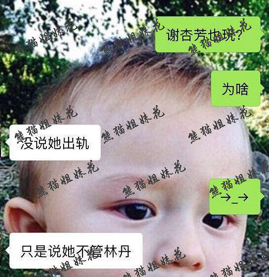 赵雅淇公开道歉大曝出轨内幕