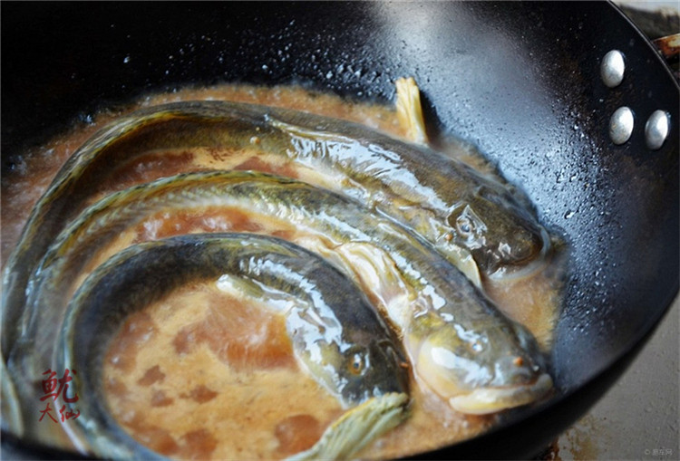 食底泥鱼图片