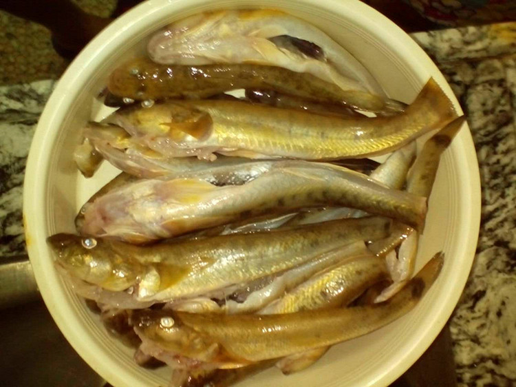 海鲶鱼(泥鱼)的几种吃法