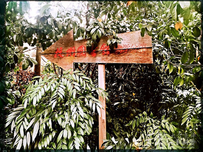 杭州图书馆佛学分馆怎么样,好玩吗 静地、静心