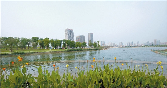 杭州下沙生态湿地公园图片