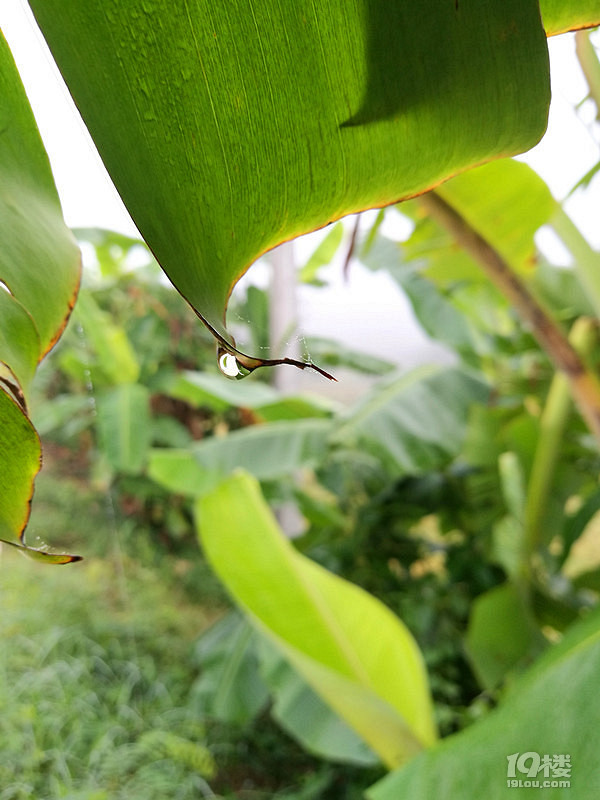 ---Chiang Mai