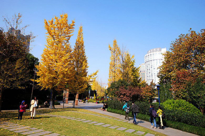 冬叶之美——杭州万象公园(武林小广场)的红枫和银杏