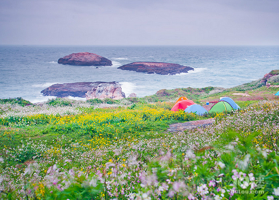 渔山列岛旅游攻略,蓝天碧水的梦幻岛