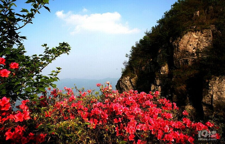 杭州花山霞鹃最佳游览季节是什么时候置身于杜鹃花海