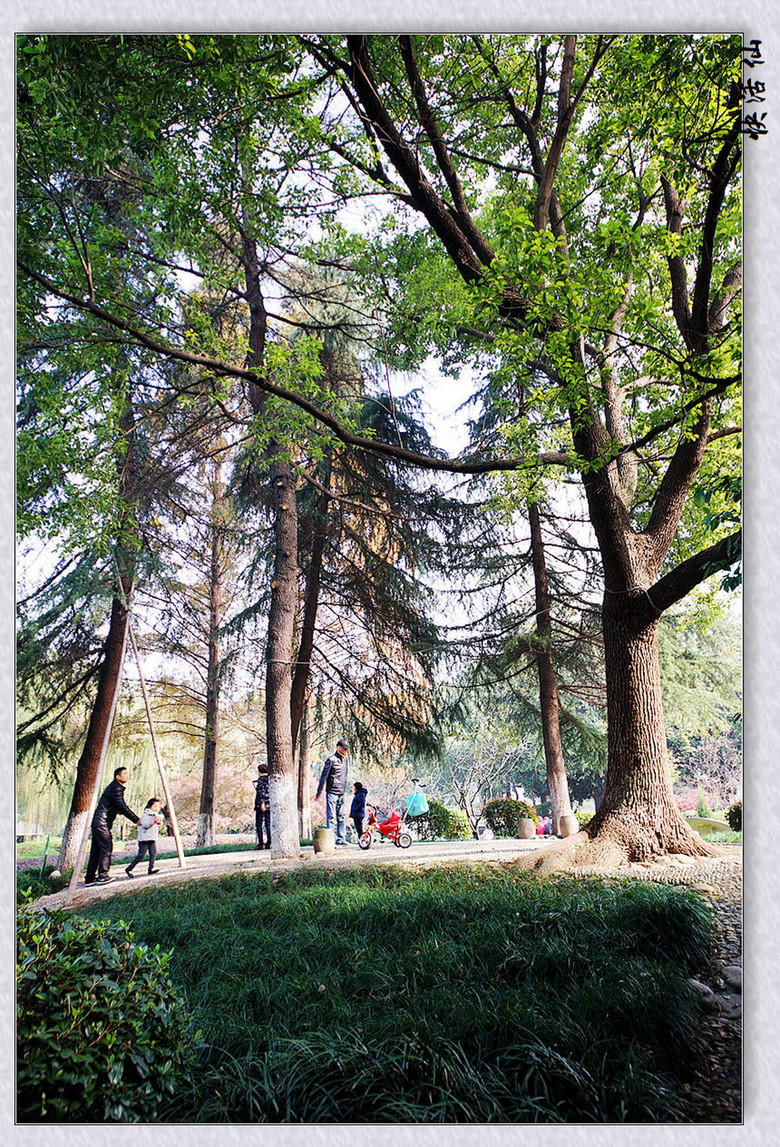 杭州朝晖公园随拍