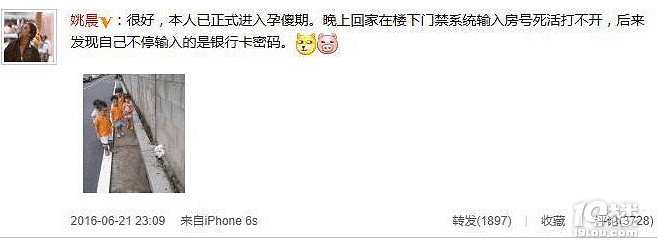 说说孕傻的那些日子你身上发生的趣事吧!