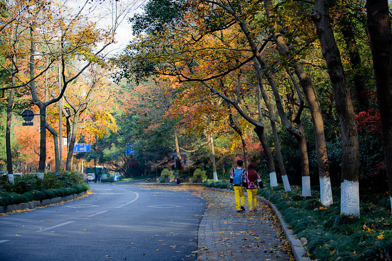 又一条最美的路---虎跑路 2016.12.12