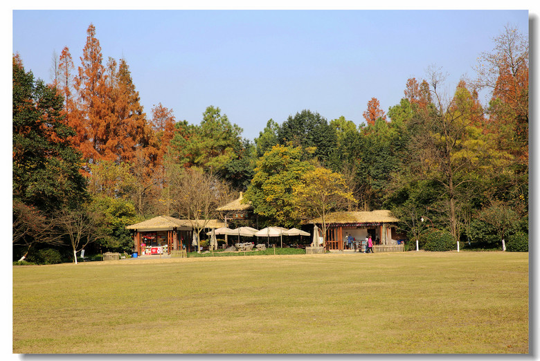 【杭州最美的秋色公园34张】-风景照-19摄区-杭州19楼