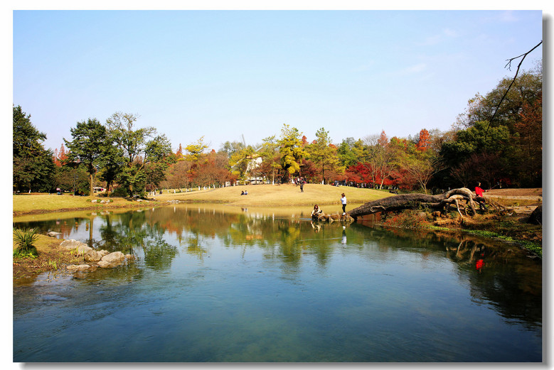 【杭州最美的秋色公園34張】