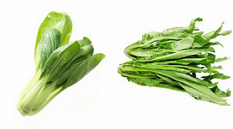 2 油菜,油麦菜.基本上,能生吃,凉拌