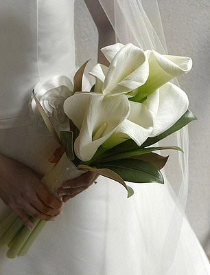 马蹄莲手捧花 象征幸福纯洁永结同心