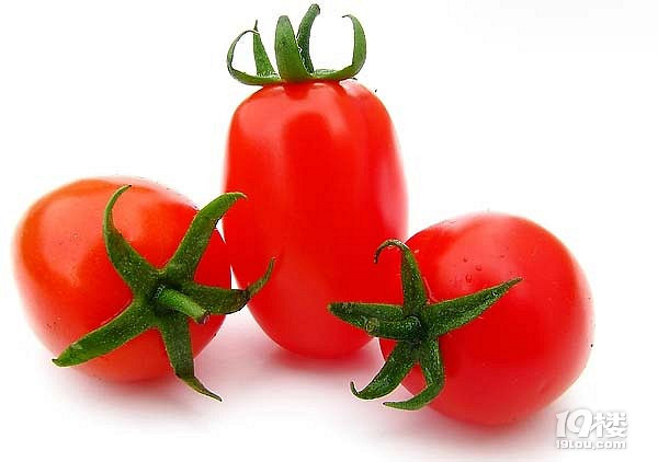 孕妇能吃小番茄吗?吃小番茄有哪些好处?