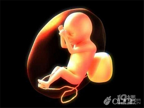 胎儿肾积水怎么办? 不再害怕肾积水-孕中期(13