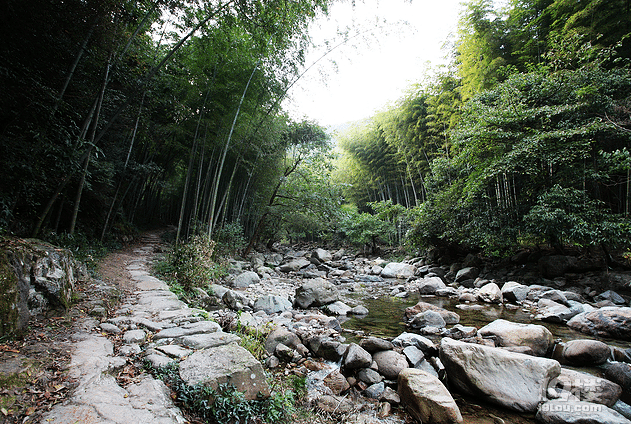 芝林古道旅游攻略 一条古道一段景
