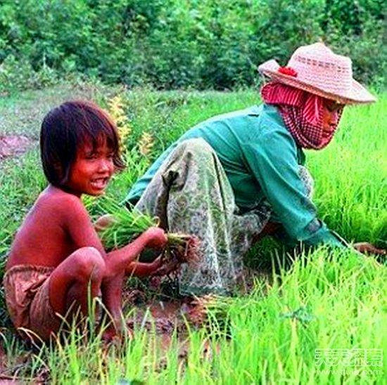 国人亲历柬埔寨真实生活:简单朴实让人羡慕