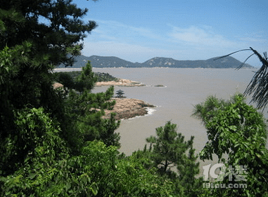 梅湾春晓攻略 遍山野梅