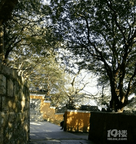 慧濟(jì)寺攻略 深山古剎現(xiàn)佛影