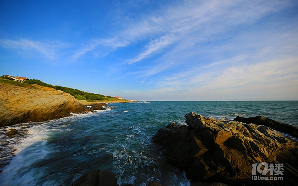 东西绿华岛攻略,杨柳依依松长青
