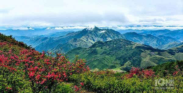 桃源尖攻略   漫山都是杜鹃红