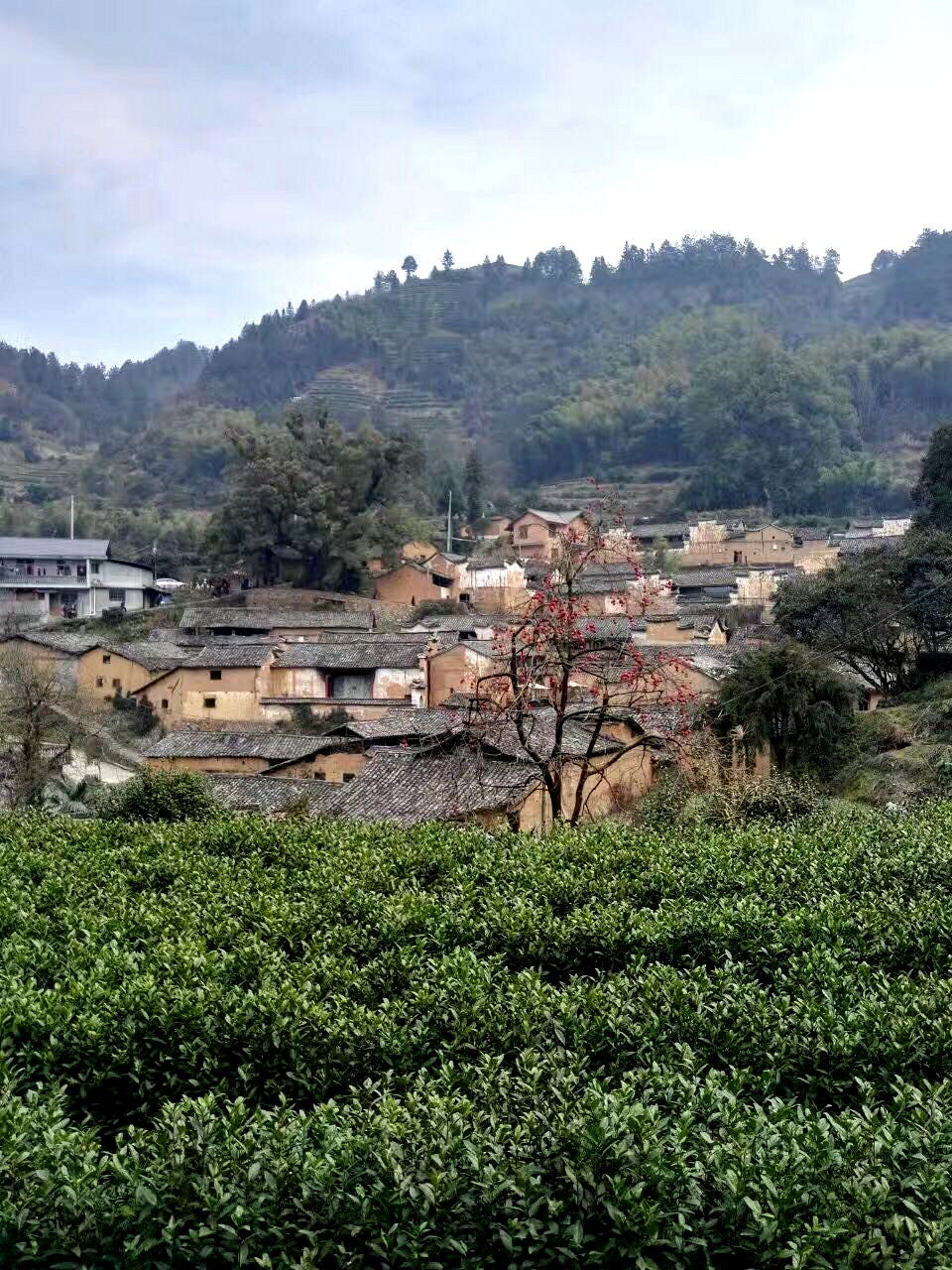 松阳三都乡的小山村