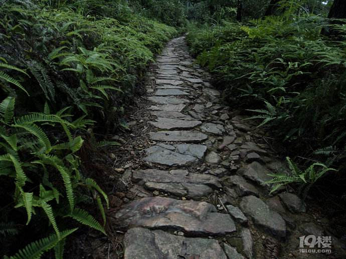 括苍古道攻略   沧桑古道
