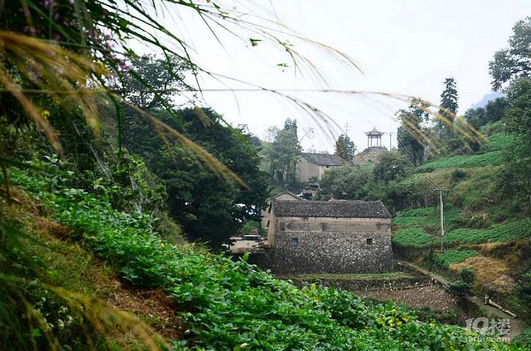 张山寨攻略 张山寨七七会