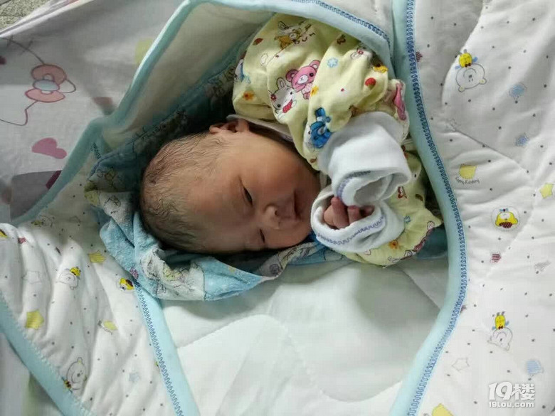 萌娃誕生記