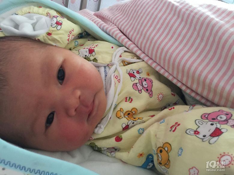 萌娃誕生記