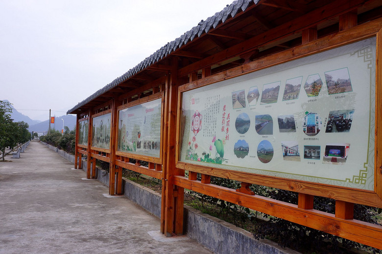 新农村——新和村