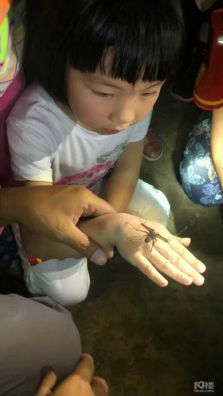 春节之旅——带着唐元二宝泰国披迈+考艾+象岛自驾