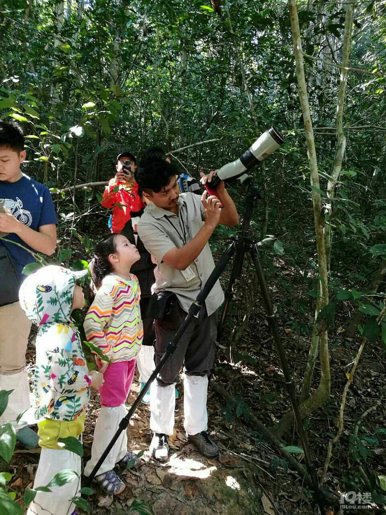 春节之旅——带着唐元二宝泰国披迈+考艾+象岛自驾