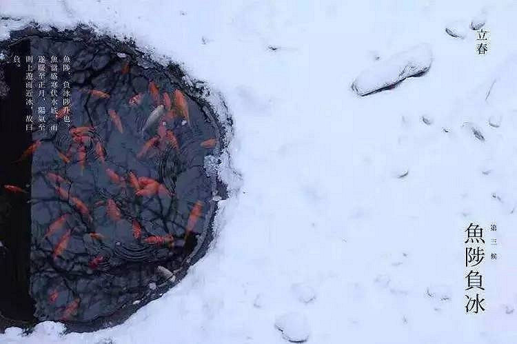 三候鱼陟负冰