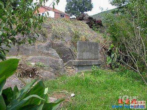 江心屿旅游攻略,中国四大名屿之一-游记攻略-旅