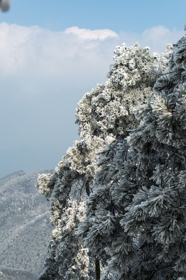 龙门雪景图片