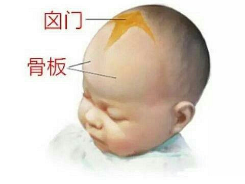 脑门闭合的早,会影响智力吗