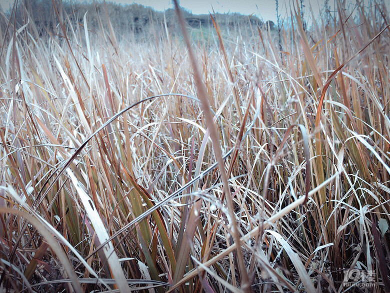 恶言不出口,苛言不留耳
