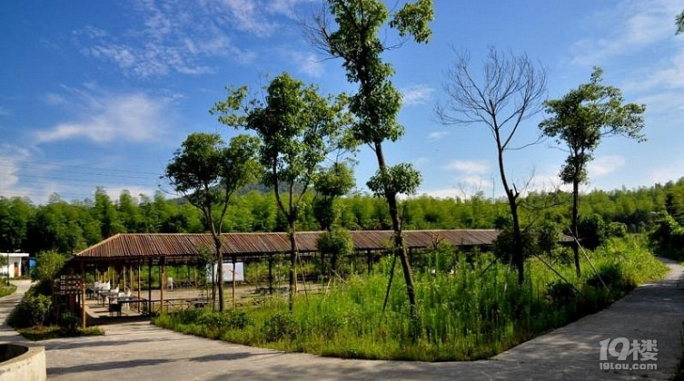 鸟之家户外庄园攻略 休闲游玩好去处