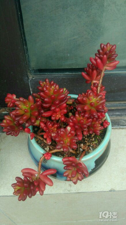 明日有雨! 2017-02-16 杭州发布?明日