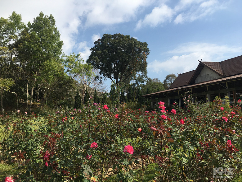 春节之旅+行走在泰国的清迈、拜县七天六晚（美图，已更新完毕）