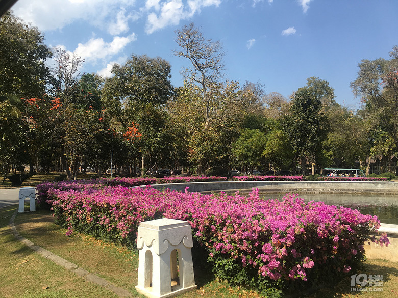 春节之旅+行走在泰国的清迈、拜县七天六晚（美图，已更新完毕）