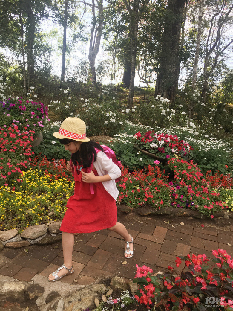 春节之旅+行走在泰国的清迈、拜县七天六晚（美图，已更新完毕）