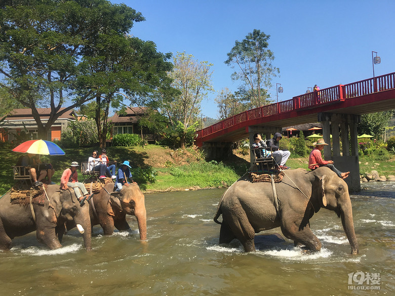 春节之旅+行走在泰国的清迈、拜县七天六晚（美图，已更新完毕）