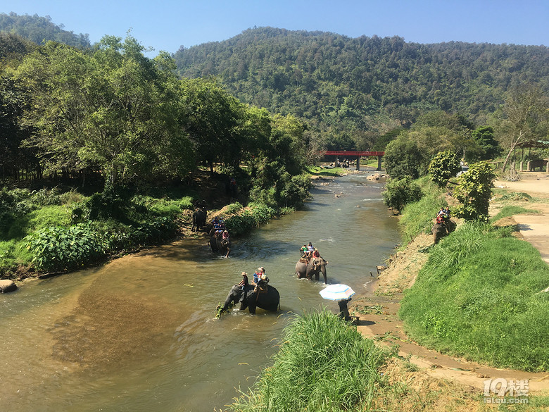 春节之旅+行走在泰国的清迈、拜县七天六晚（美图，已更新完毕）